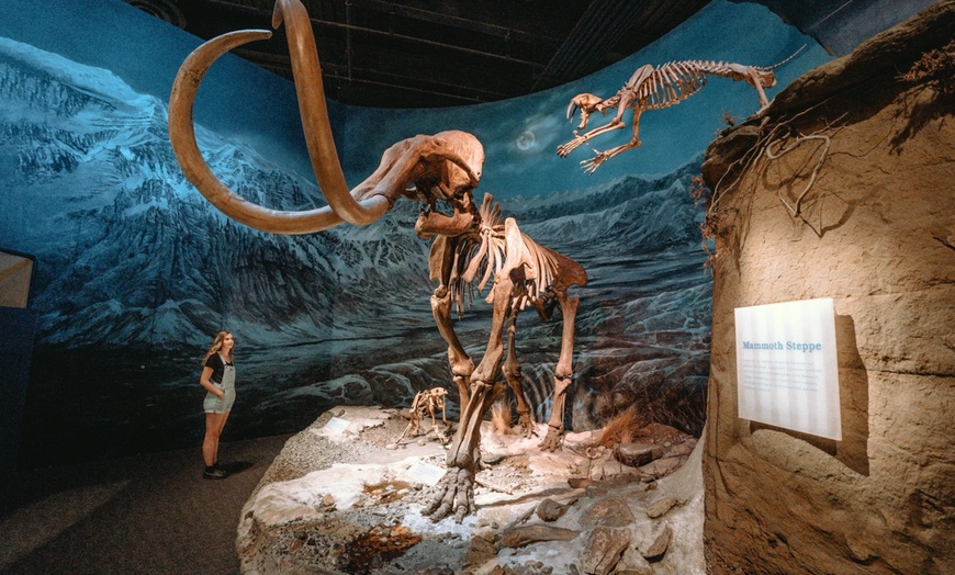 Image 4: Guided Day Trip to Drumheller Badlands & Dinosaurs – From Calgary