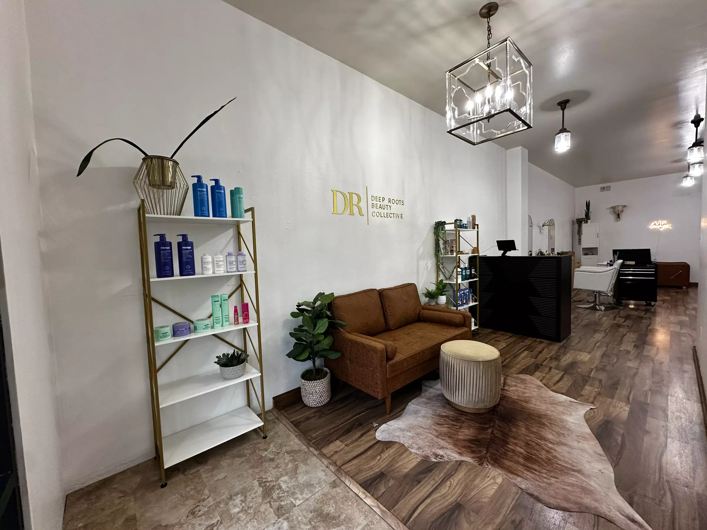 One Hair Cut, Olaplex Treatment, Coloring, Blow-Dry, & Style