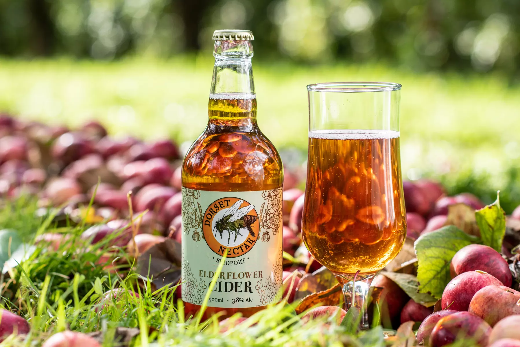 Up to 33% Off on Tour - Brewery at Dorset Nectar Cider