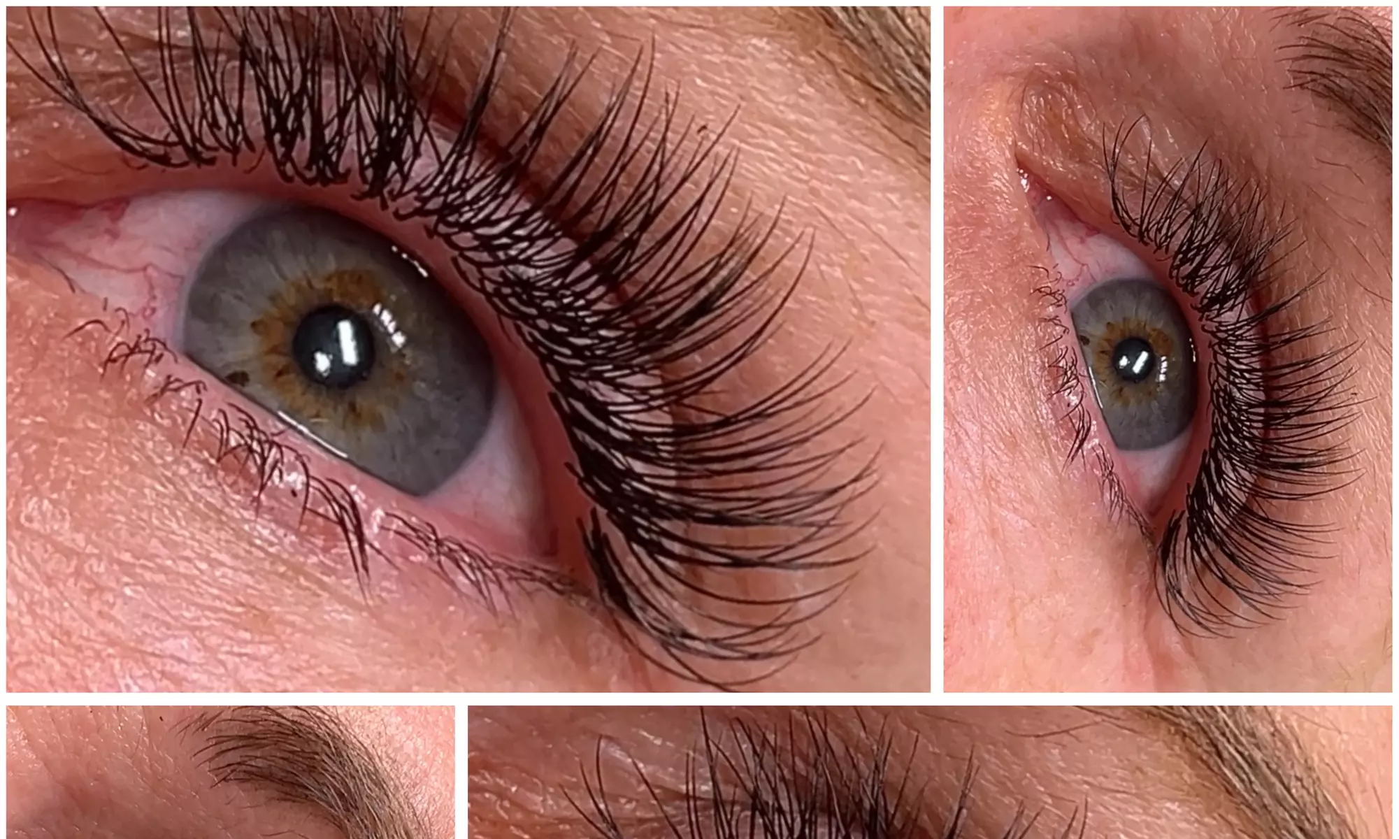 Up to 55% Off on Eyelash Extensions at Silklashnbrow