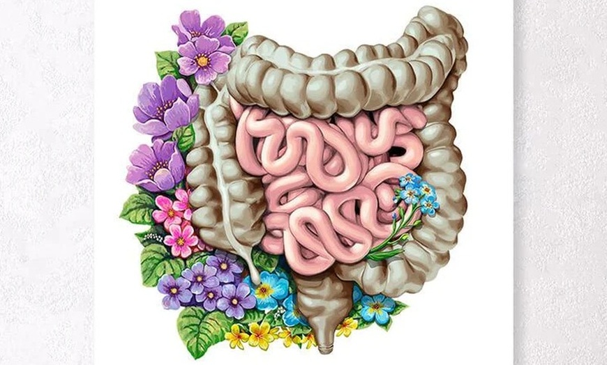 Image 1: Up to 42% Off on Natural Cleansing Hydro Colon Therapy at Life Essence Natural Therapies