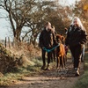 Image 1: Up to 38% Off Alpaca Walking at Wetley Moor Alpacas