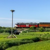 Image 1: Scenic Cape Cod Train Tour: Come Solo or Bring Partner & Friends