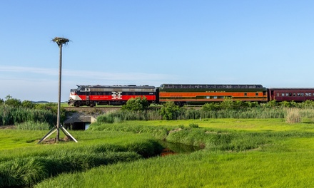 Scenic Two-Hour Cape Cod Train Tour for One, Valid May 16 to October 24 - Cape Cod Central Railroad