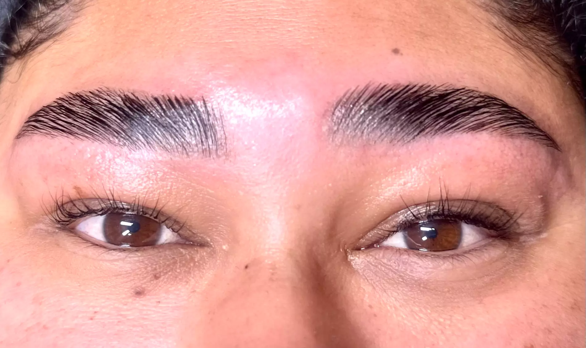 Elevate your Look with Brow and Lash Services! 