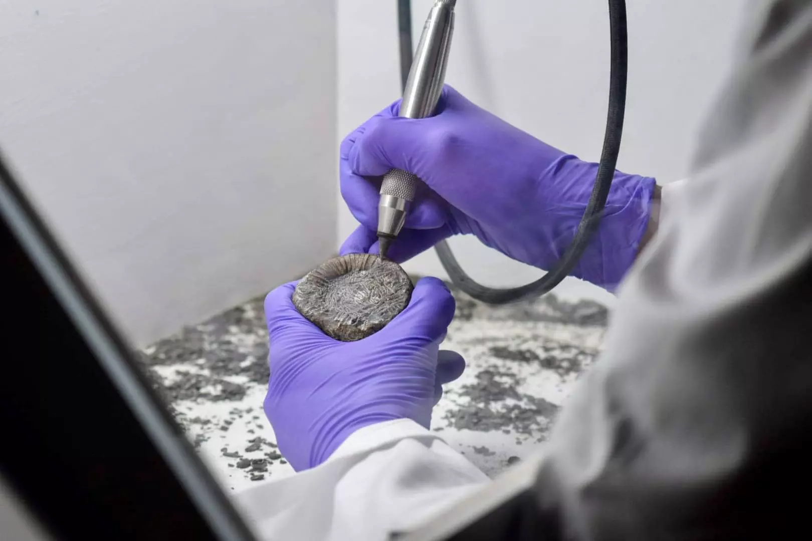 Up to 17% Off on Museum at Neo Jurassica Ltd