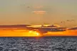 Up to 35%Off for 2-Hour Swim & Sunset Sail for One from Island Magic Charters LLC (Waikiki Adventure Sails) - Second Medium