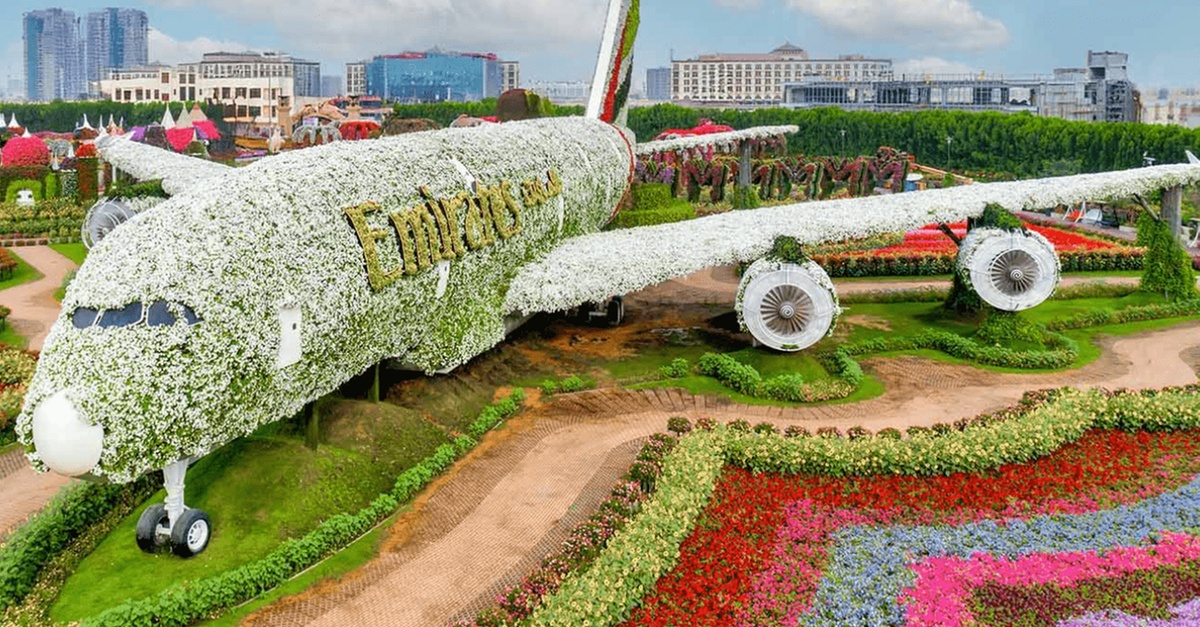 Nature & Ocean Wonders: Dubai Miracle Garden + Dubai Aquarium Combo Nature & Ocean Wonders: Dubai Miracle Garden + Dubai Aquarium Combo