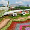 Image 1: Nature & Ocean Wonders: Dubai Miracle Garden + Dubai Aquarium Combo