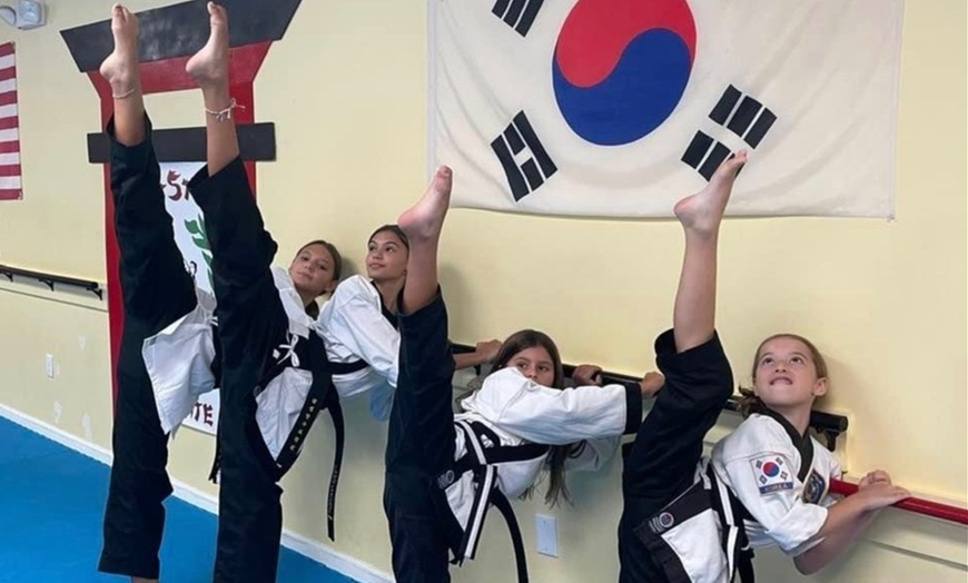 Image 1: Enjoy One Month of Martial Arts Classes at Tri-Star Karate!