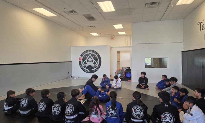 Image 3: Two Weeks - Unlimited Jiu-jitsu Classes Adults And Kids (Free T-Shirt)