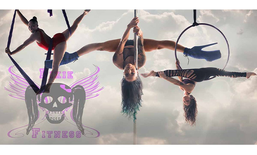 Image 2: Pole Dancing and Ariel Fitness Classes for a Dreamy Workout Mid-Air