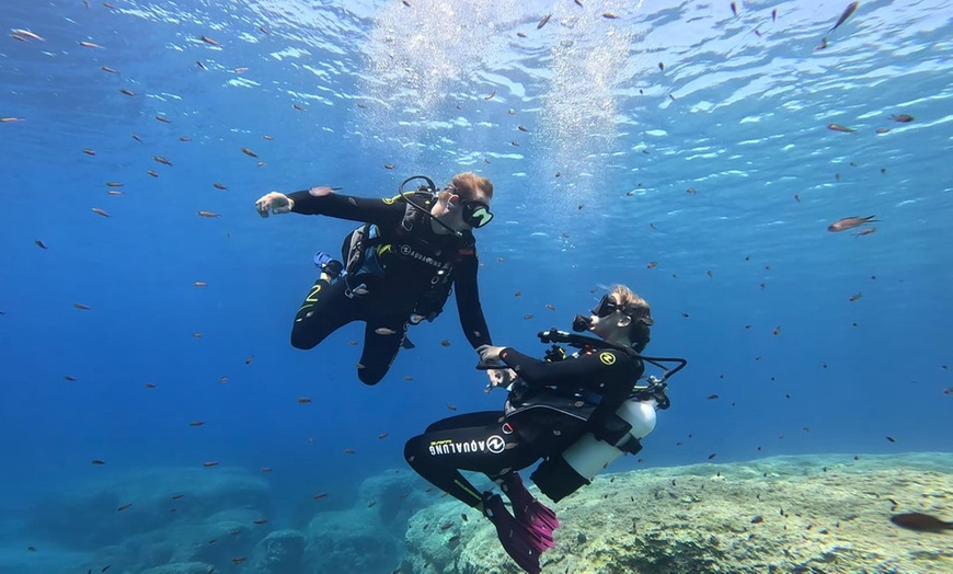 Image 3: Hasta 66% de dto. en Submarinismo en Posidonia Ecosports