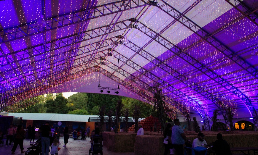 Image 4: Gilroy Gardens Family Theme Park: Whimsical Rides & Seasonal Events