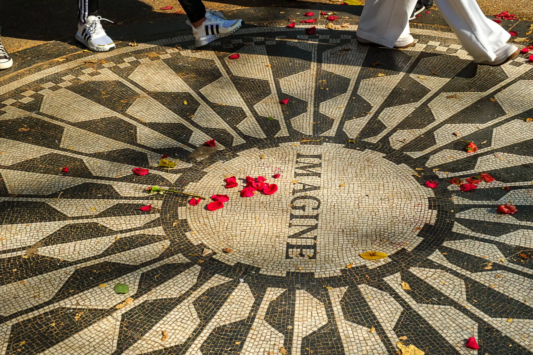 Pedicab Tours: Central Park's Iconic Landmarks