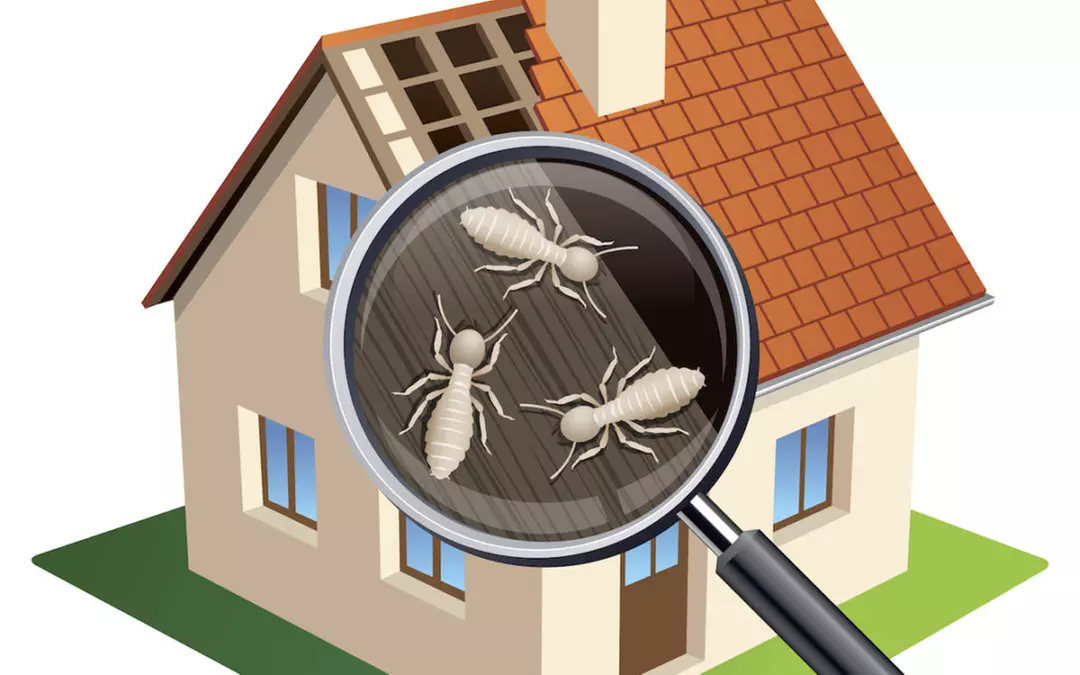 Up to 54% Off on Pest Control Service - Termite at Impressive Exterminating Pest Control - Primary Image
