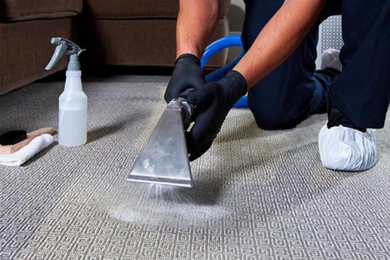 Comprehensive carpet and upholstery cleaning services available