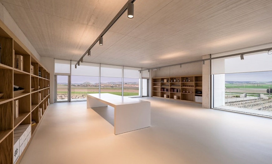 Image 6: Cata de 3 vinos, visita guiada y aperitivo en Bodegas Carramimbre
