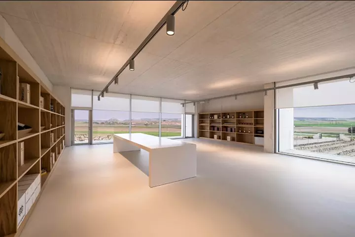 Cata de 3 vinos, visita guiada y aperitivo en Bodegas Carramimbre