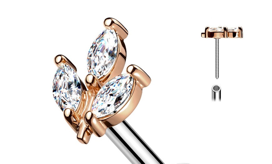 Image 3: Ear and Nose Piercing Services with Titanium or Gold Options