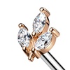 Image 3: Ear and Nose Piercing Services with Titanium or Gold Options