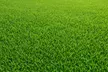 Up to 79% Off on Pest Control Service - General at Ladybug Pest - Second Medium