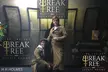 Sherlock Holmes Escape Room Game for Up to Six at Break Free Escape Rooms Stoke(Up to 38% Off) - Second Medium