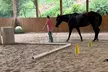 Master Equestrian Skills: Six Weeks of Group Horsemanship Lessons at Cornerstone Equine Services - Second Medium