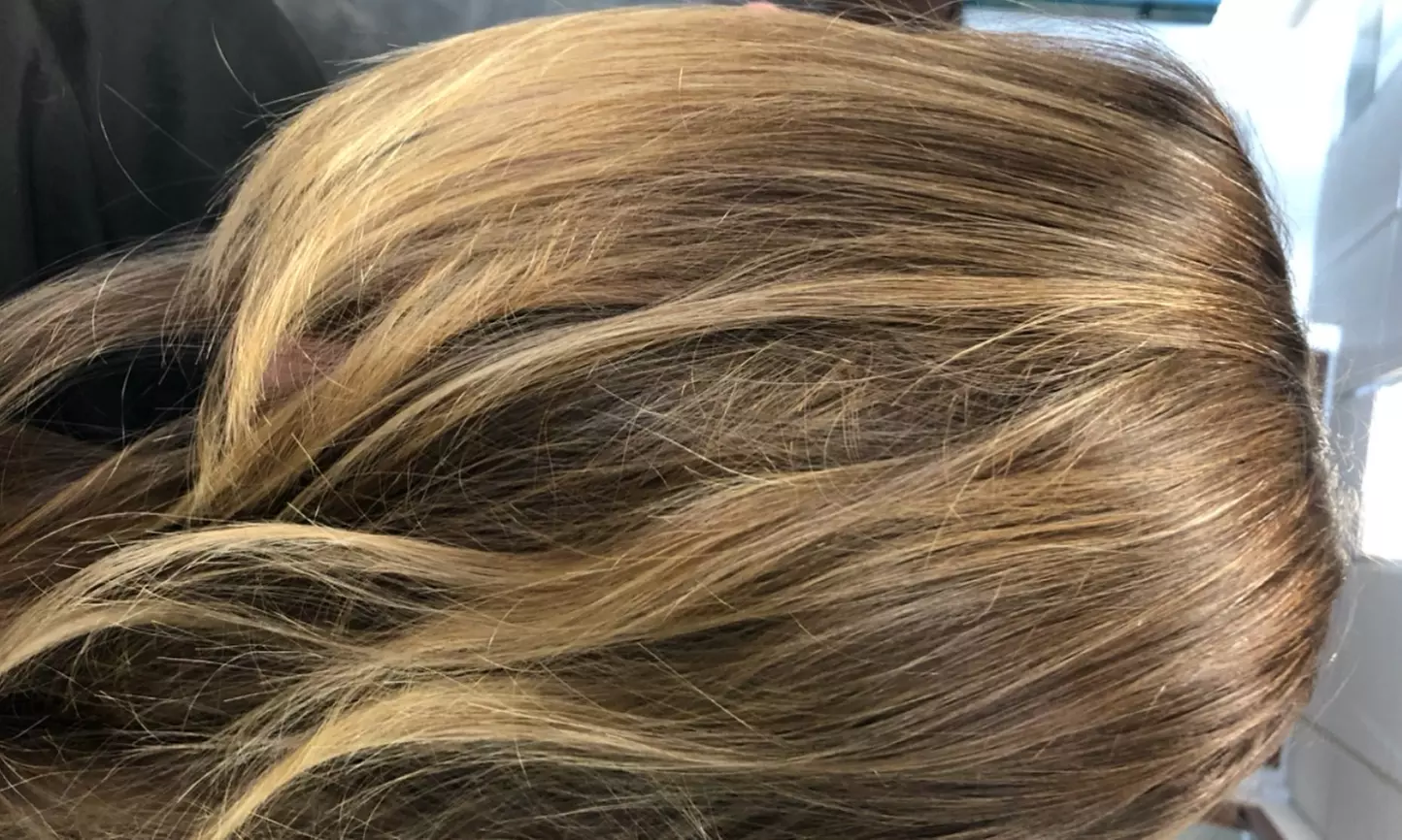 Pamper Yourself: Hair Cut with Optional Blow Dry and 1 Hair Treatment