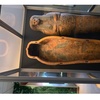 Image 3: Uncover Egyptian Origins of Washington with a Private Guide