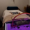 Image 5: 75-Minute Lymphatic Gua Sha Facial With Dry Head Spa And Massage