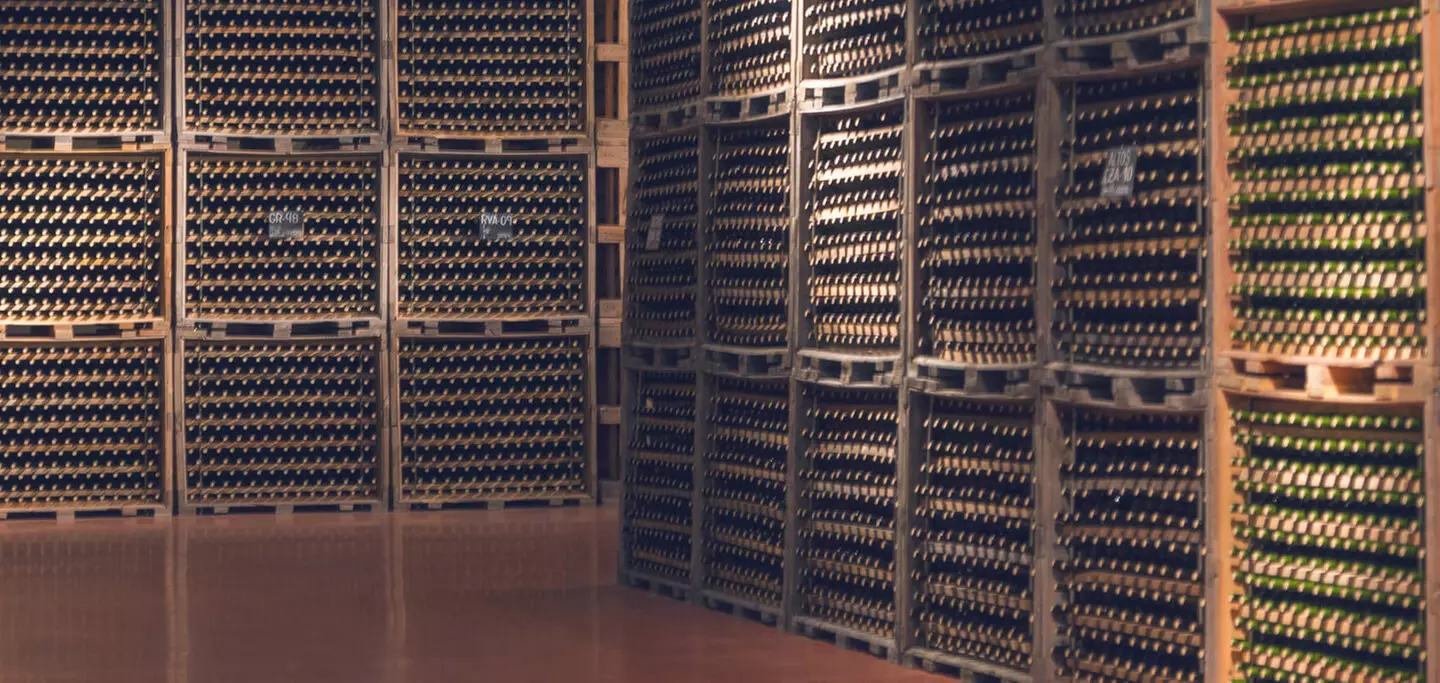 Visita de la bodega con cata de 3 vinos y maridaje