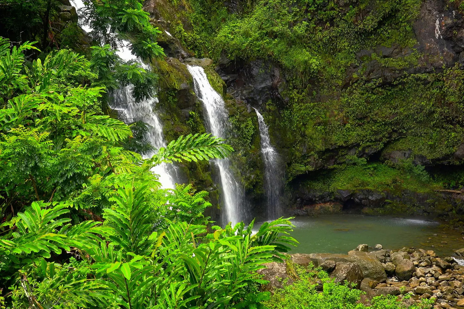 Self-Guided Audio Driving Tour for Maui, Kauai & Hawaiian Islands