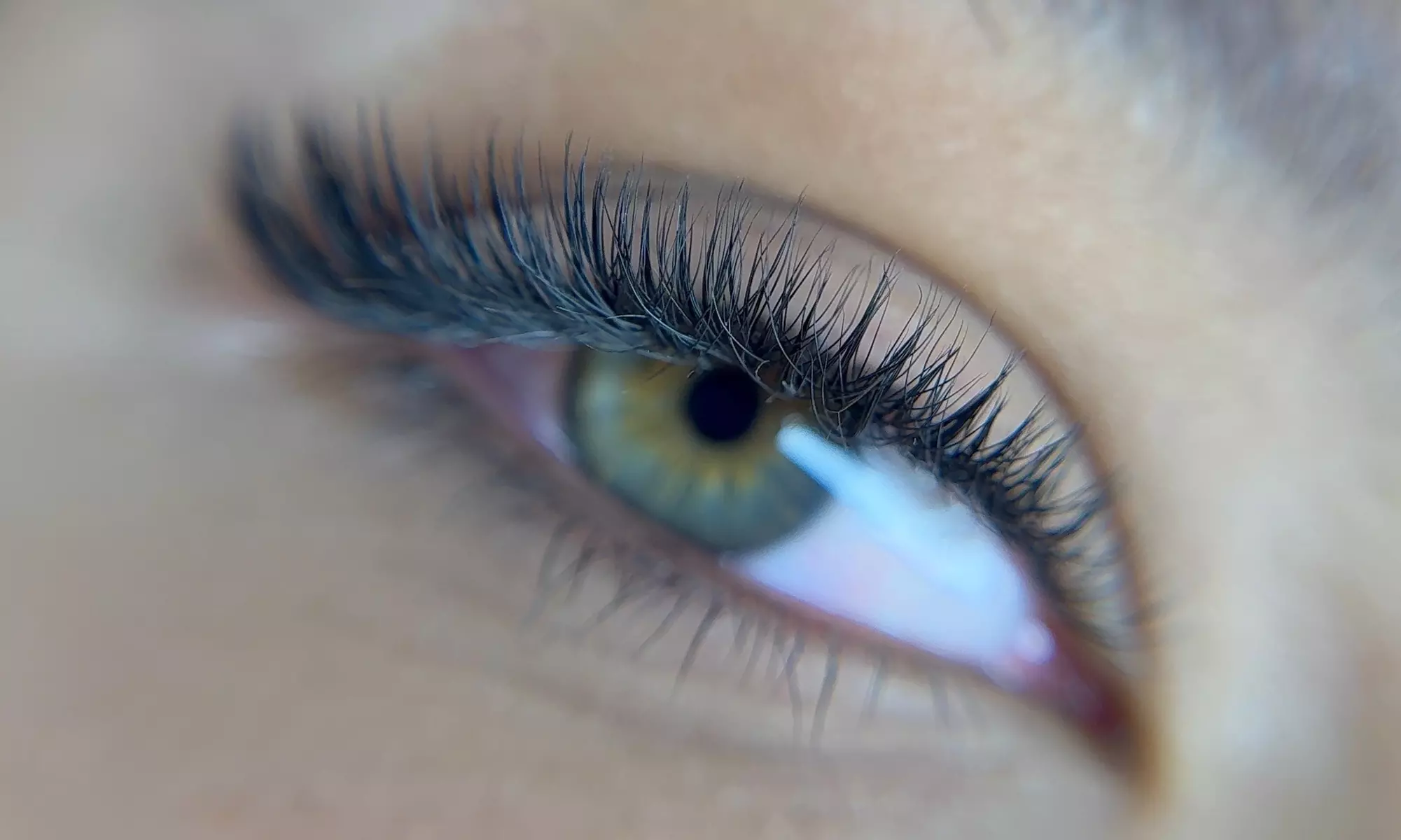 Get a Full Set of Lash Extensions with Optional Eyebrow Shaping