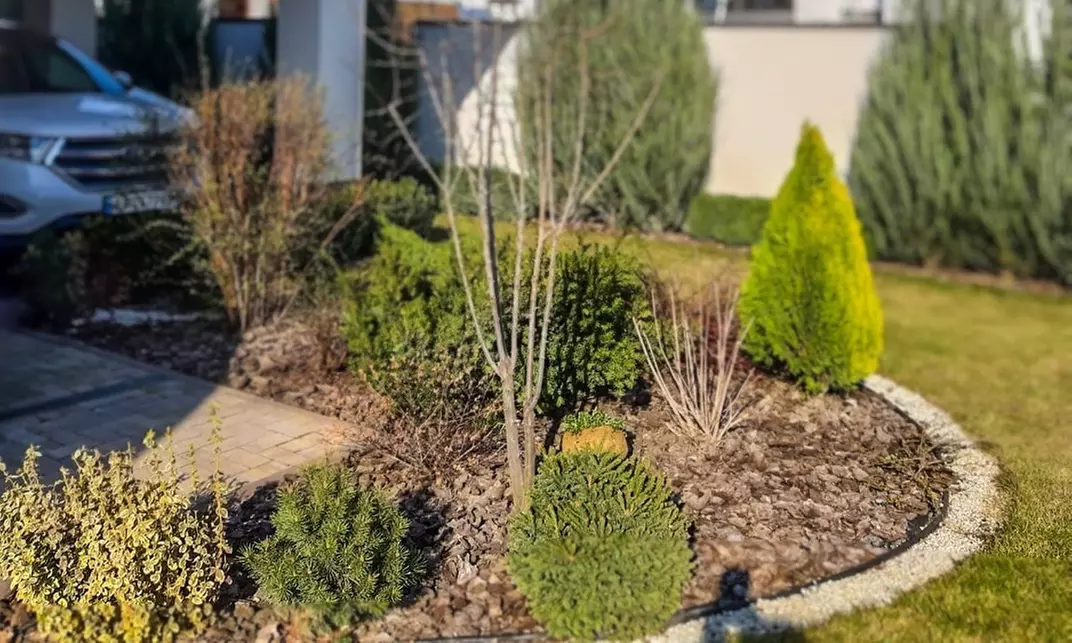 Een straal van 25 km rond Utrecht: tot 50% korting op een tuinontwerp