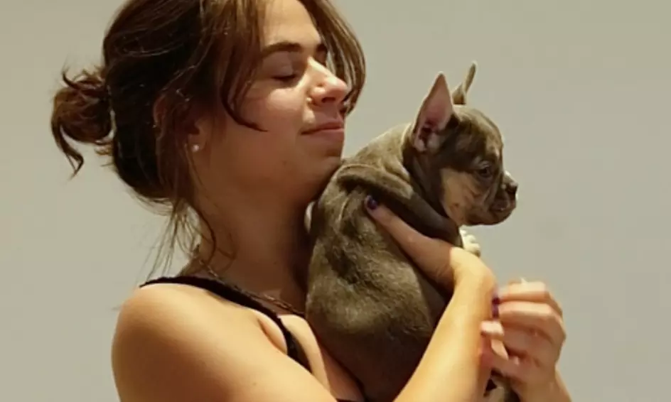 Enjoy Live Music With Puppies 
