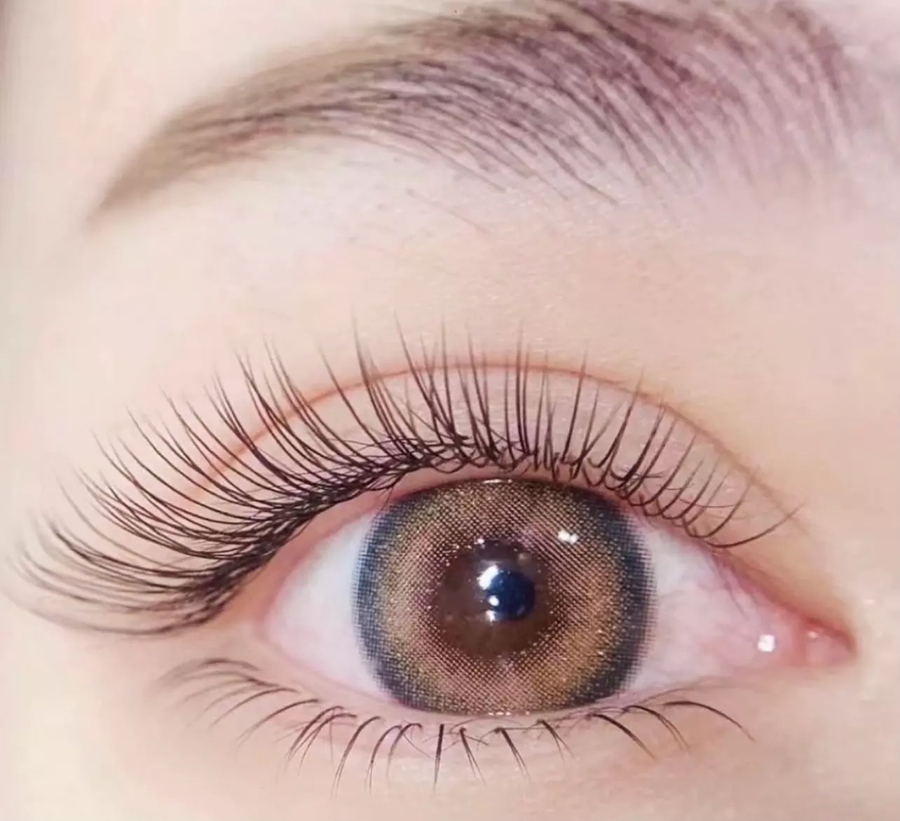 Eyelash Extensions: Classic or 3D wispy Full Set or w/ 3D -5DVolumes