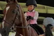 Up To 48% Off On Saddle Seat Riding with Two, Four, or Eight Horse Back Riding Lessons - Second Medium