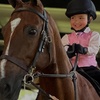 Image 5: Up To 42% Off On Saddle Seat Riding with Two, Four, or Eight Horse Back Riding Lessons 