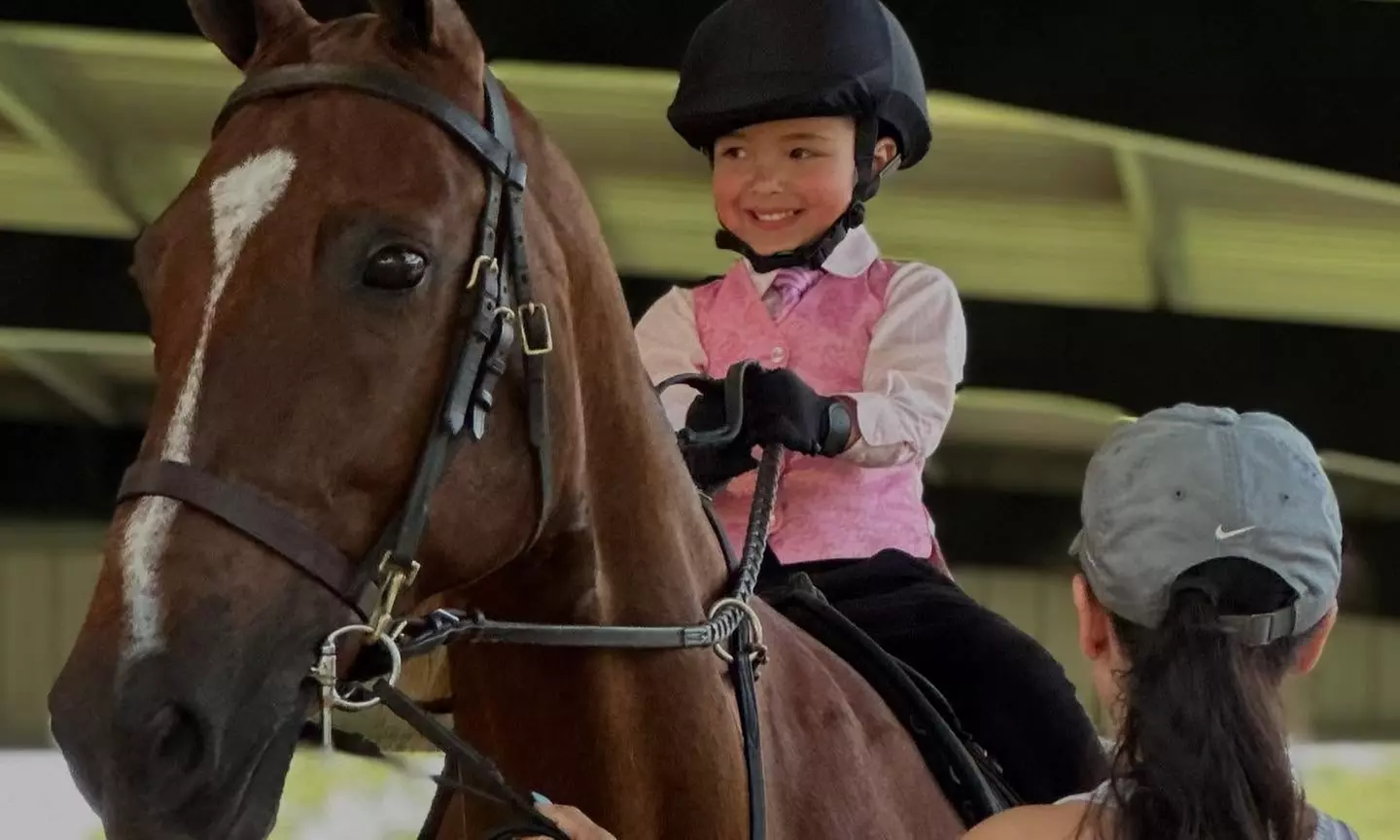 Try Saddle Seat Riding with 2, 4, or 8 Horse Back Riding Lessons 