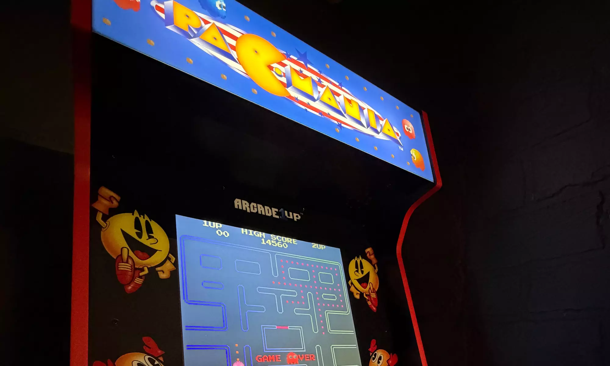 Immersive Gaming and Flight Simulator Experiences