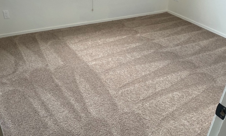 Image 2: Professional Carpet Cleaning & Deodorizing