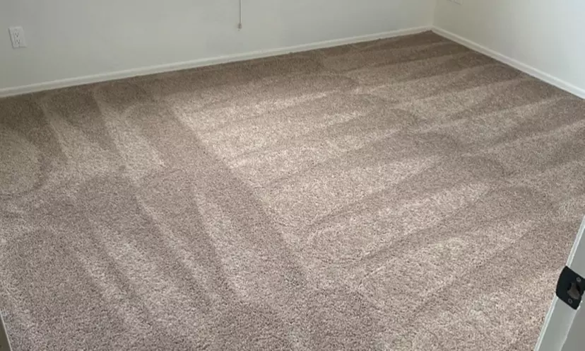 Professional Carpet Cleaning & Deodorizing