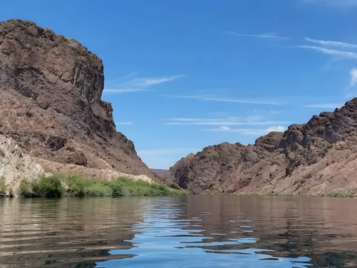 What to expect media