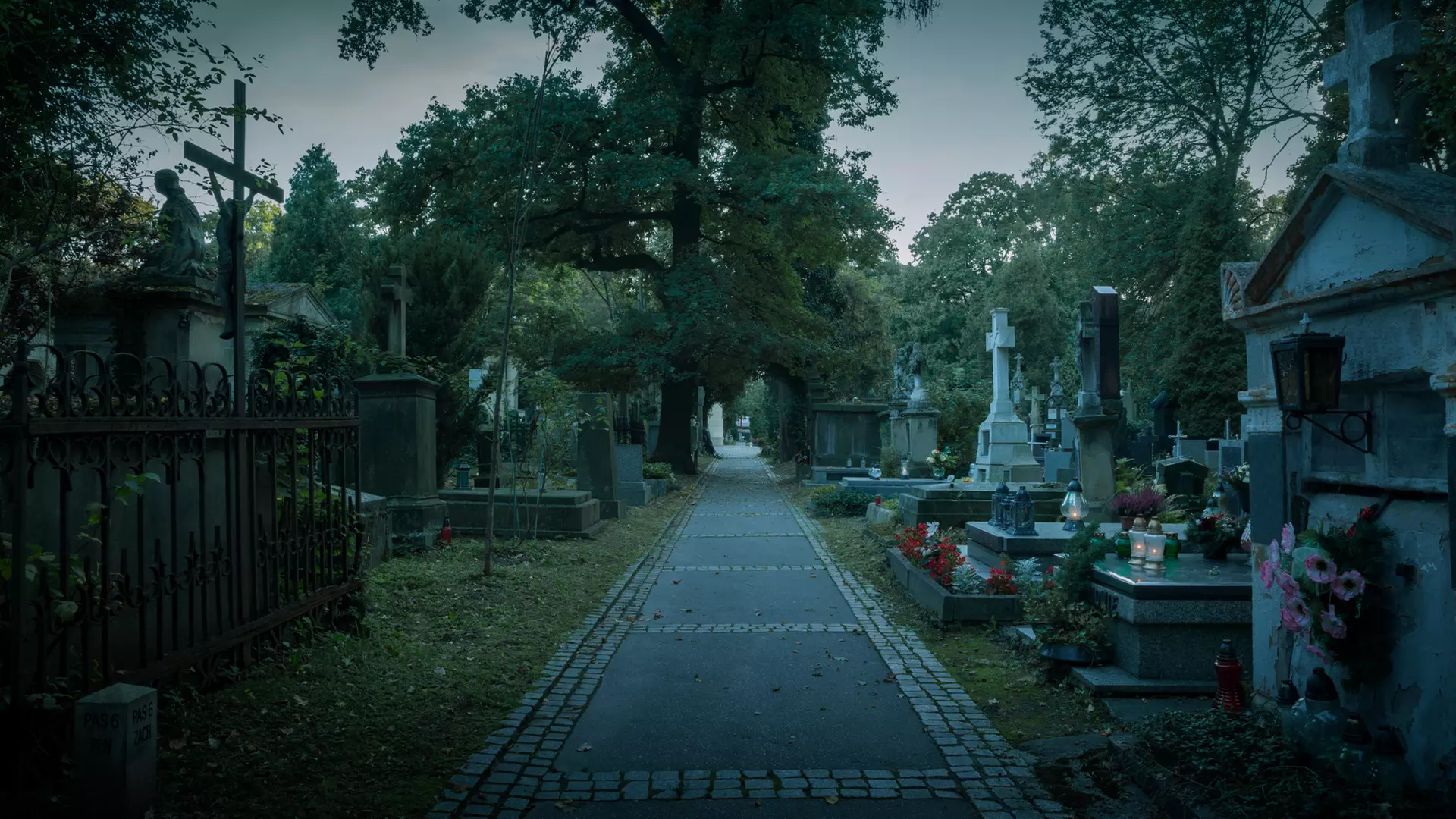 Charleston Self-Guided Audio Ghost Tour – Haunting Tales at Your Pace by Ghost Tour Fun (Up to 28% Off) - Second Medium