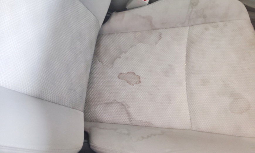 Image 2: Exterior Hand Wash, Interior Shampoo & Steam Clean for Car or Truck 