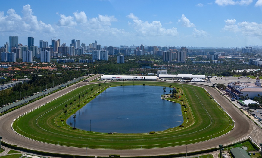 Image 5: Helicopter Tour Over Beaches and Cityscapes