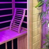 Image 3: Infrared Sauna Session