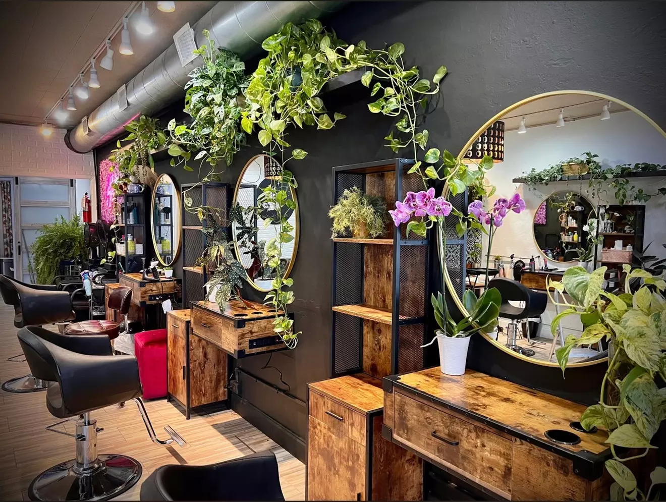 Up to 30% Off on Salon - Hair Color / Highlights at Auracle Salon