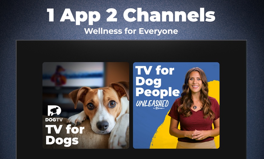 Image 2: Stream DOGTV for a Year or Enjoy a Free Month